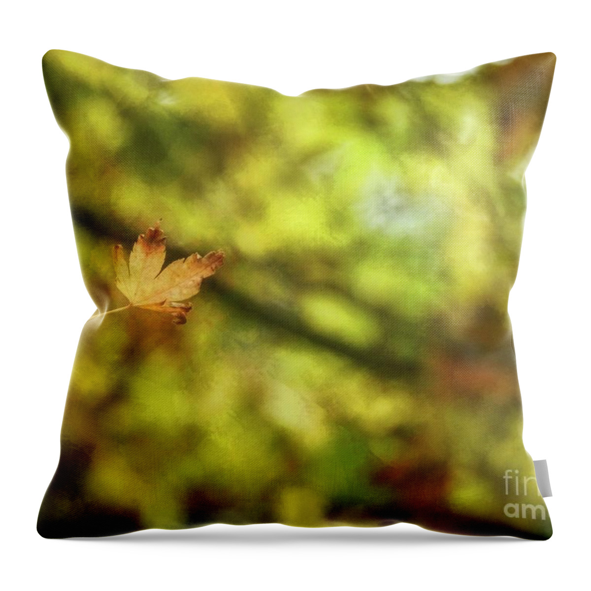 Deciduous Throw Pillow featuring the photograph Falling by Peggy Hughes