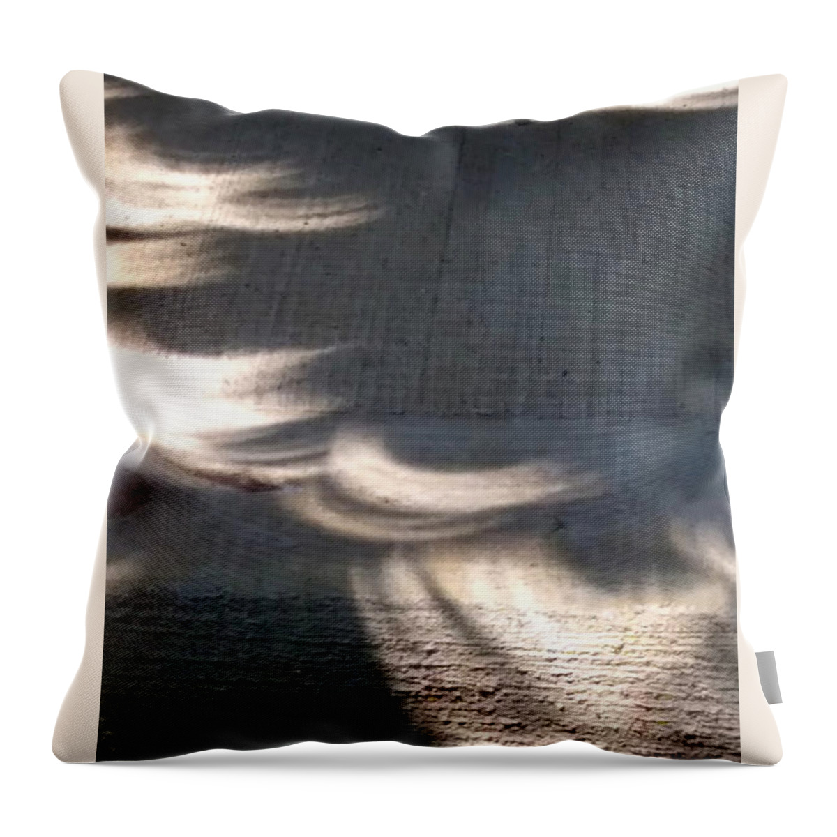 Eclipse Throw Pillow featuring the photograph Falling sunlight by Melinda Dare Benfield
