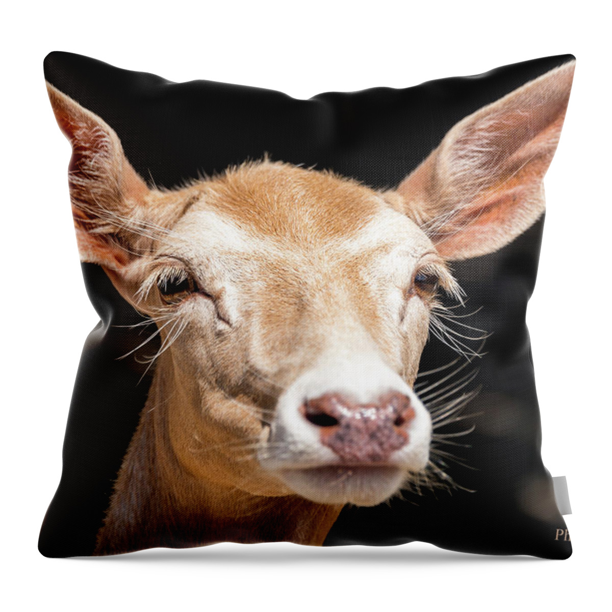 2018-06-22 Throw Pillow featuring the photograph Fallow Deer by Phil And Karen Rispin
