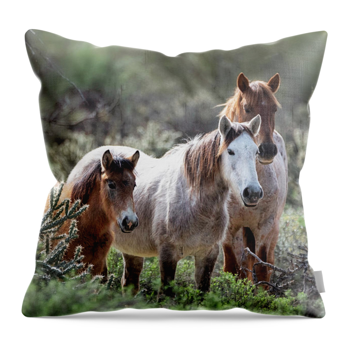 Wild Horses Throw Pillow featuring the photograph Family Bonds by Saija Lehtonen