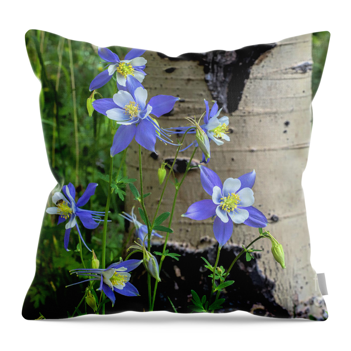 Flowers Throw Pillow featuring the photograph Famous Footwear by Jim Garrison