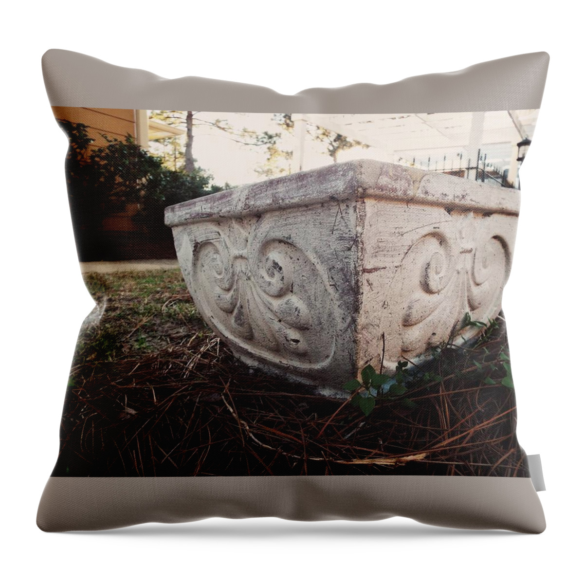 Outdoors. Pottery. Garden Pot. Flower Pot. Plant Pot. Faded White Paint. Antique White Paint. Distressed White Paint. Grass. Pine Straw. Bushes. Lamp Post. Royal. Throw Pillow featuring the photograph Fancy Pottery by Shelby Boyle