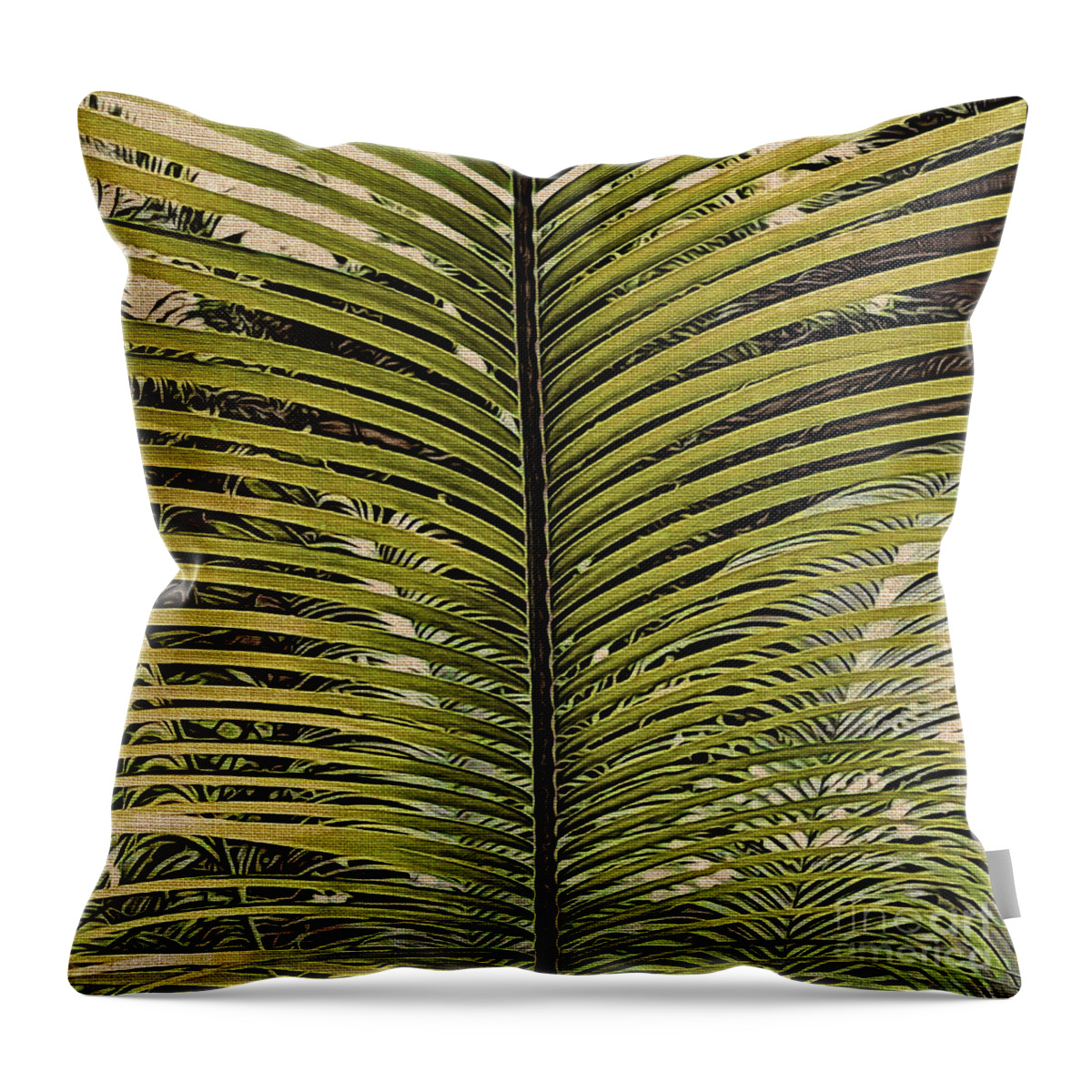 Leaf Throw Pillow featuring the photograph Fanned by Onedayoneimage Photography