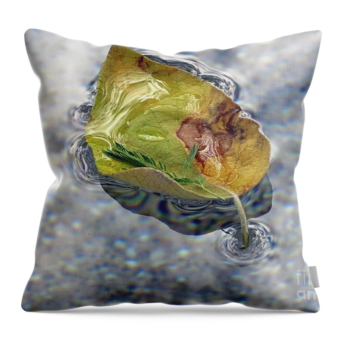 Leaf Throw Pillow featuring the photograph Fantastic Voyage by Hazel Vaughn