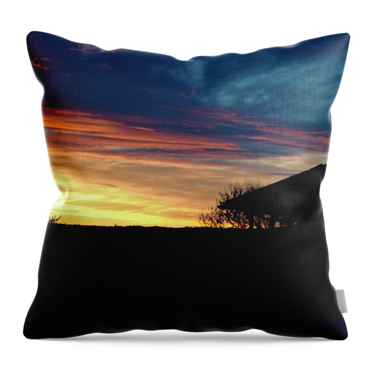  Throw Pillow featuring the photograph Farm House Sunset by Brian Sereda