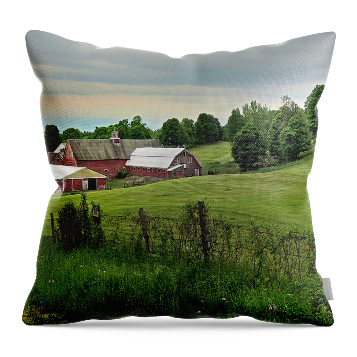 Farm Throw Pillow featuring the photograph Farm in West Newbury Vermont by Nancy Griswold