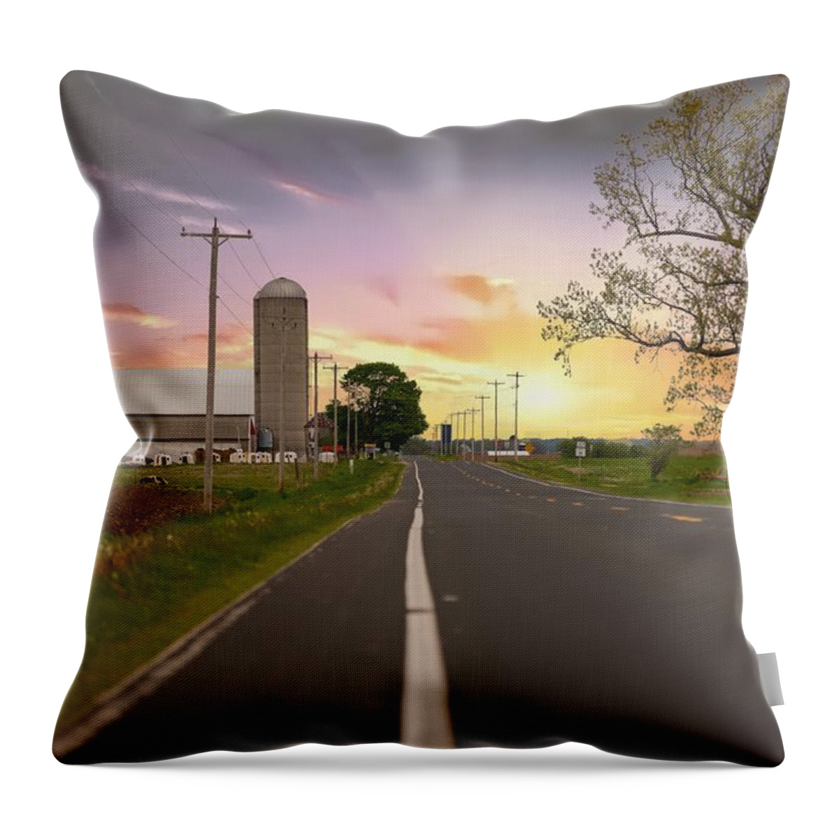Farm Throw Pillow featuring the photograph Farm Life by James Meyer