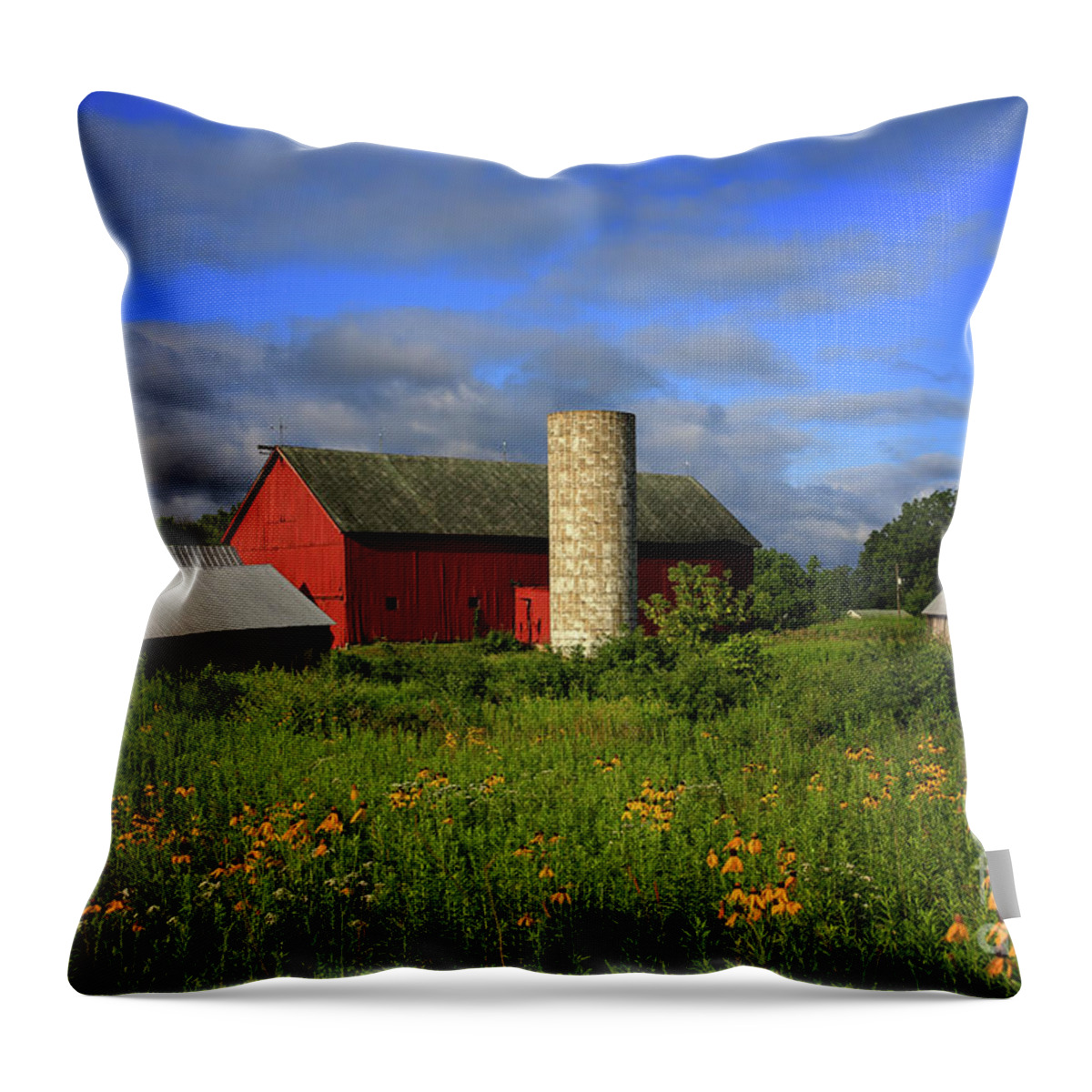 Farm Morning Throw Pillow featuring the photograph Farm Morning by Rachel Cohen