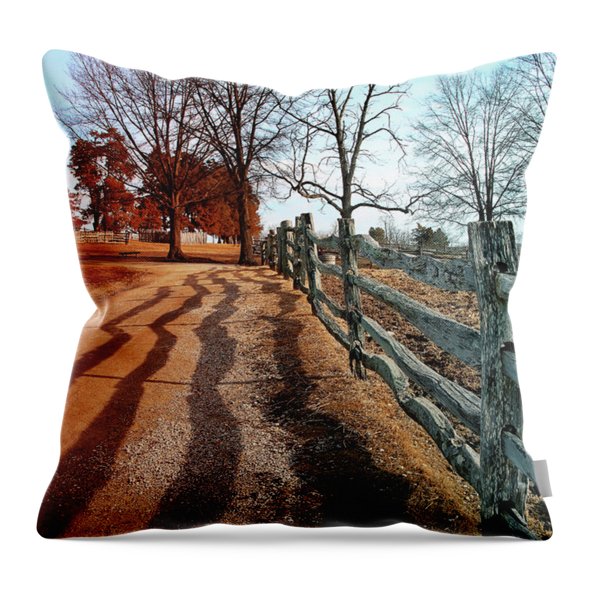 Mount Vernon Throw Pillow featuring the photograph Farm Trail by Iryna Goodall