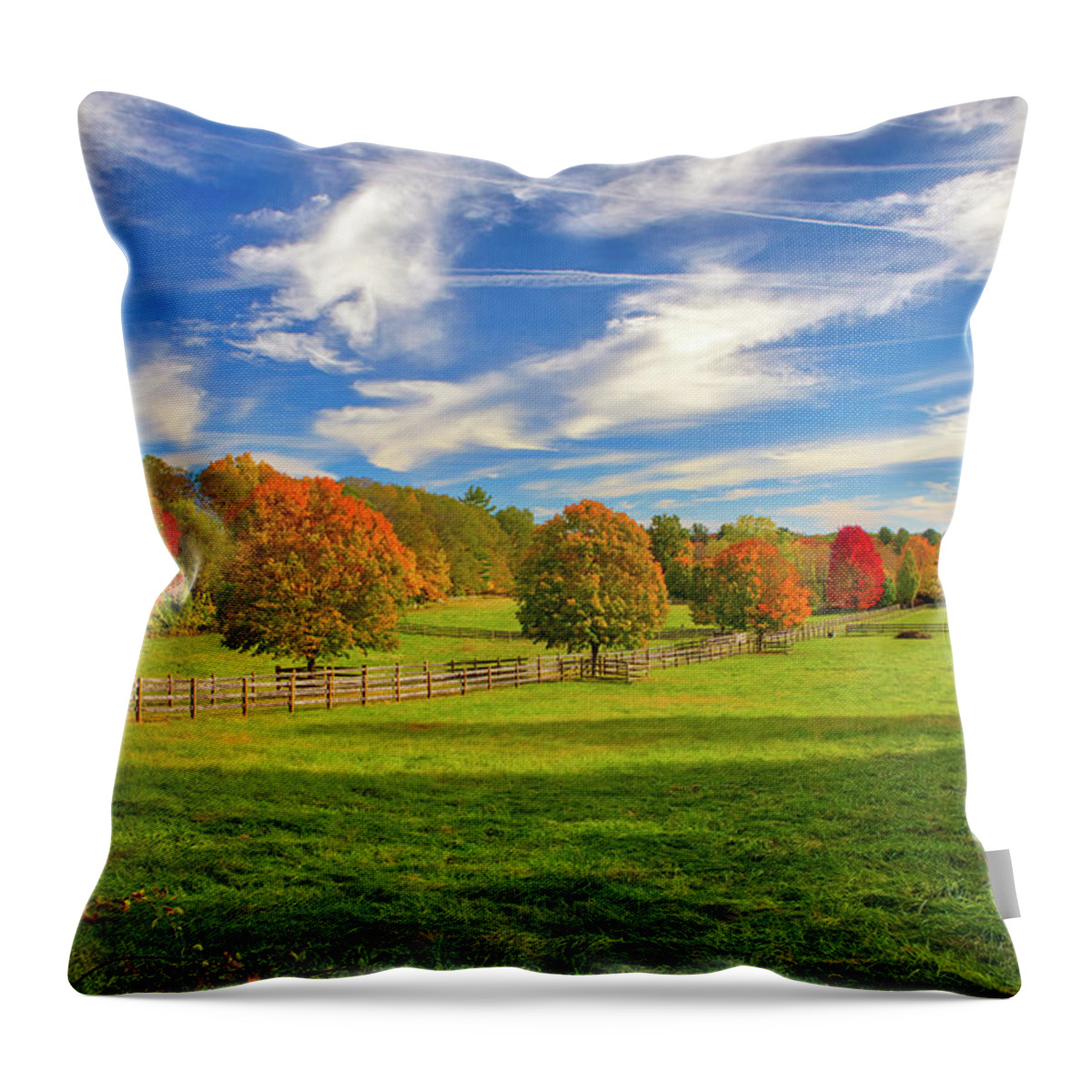 Sherborn Throw Pillow featuring the photograph Farmland in Sherborn Massachusetts by Juergen Roth