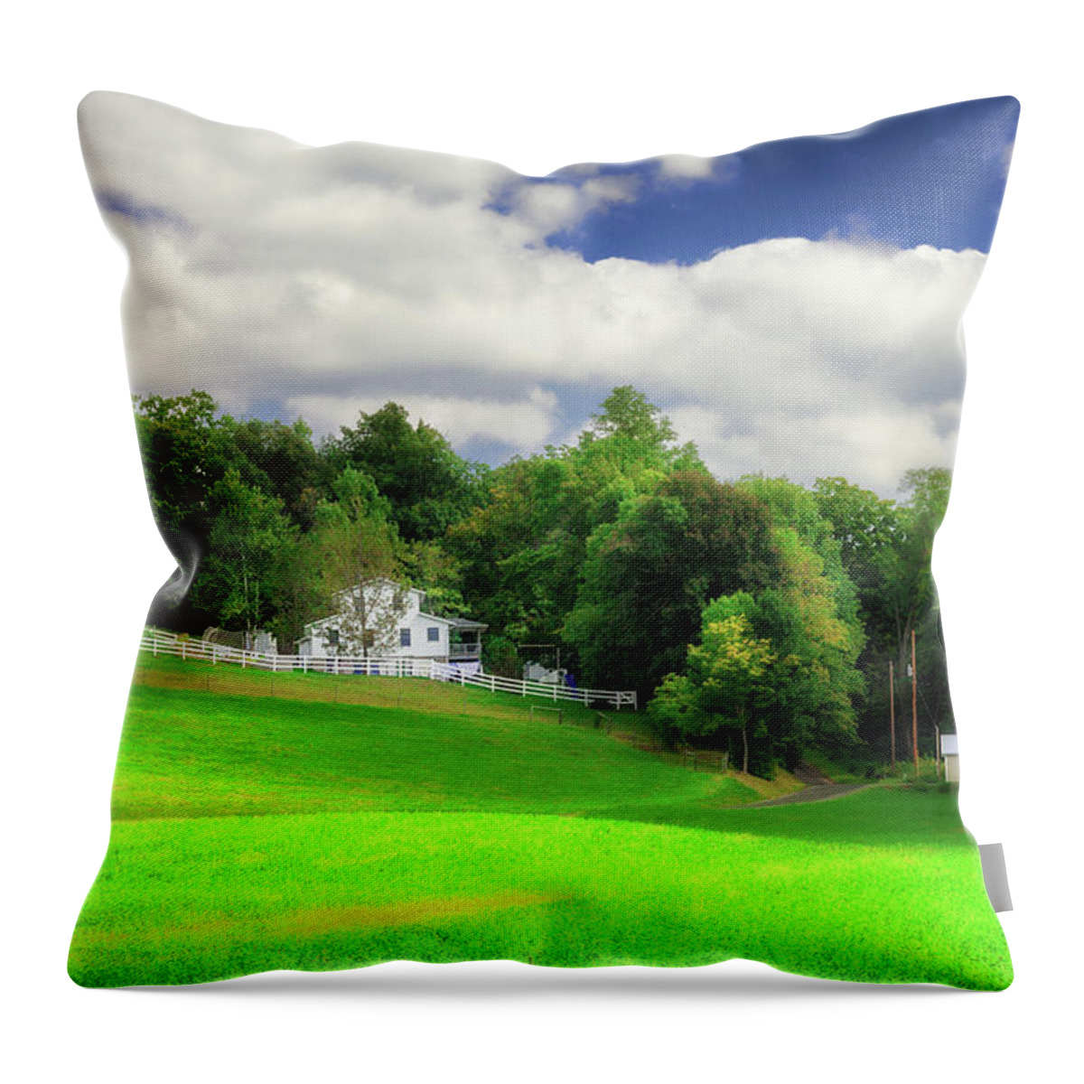 Landscape Throw Pillow featuring the photograph Farmland by Tom Mc Nemar