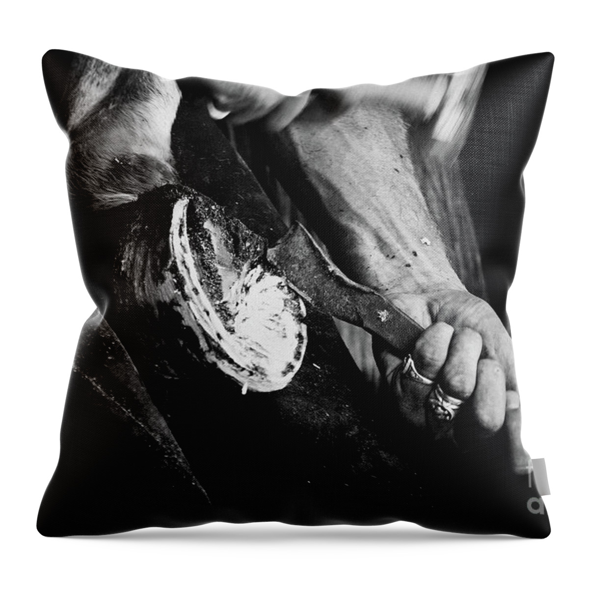 Horse Throw Pillow featuring the photograph Farrier at work on horses hoof by Dimitar Hristov