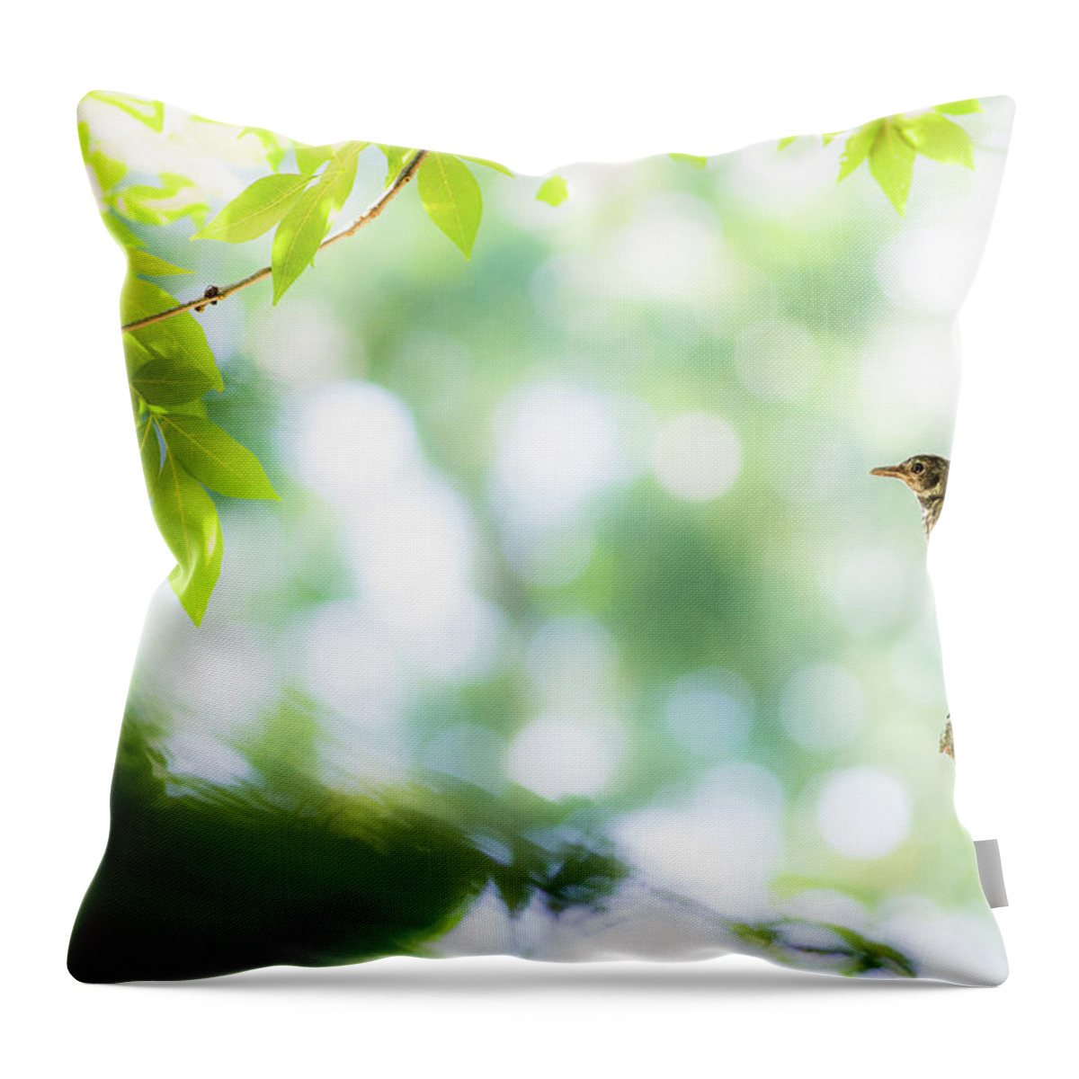 Bird Throw Pillow featuring the photograph Fast Food by Annette Hugen