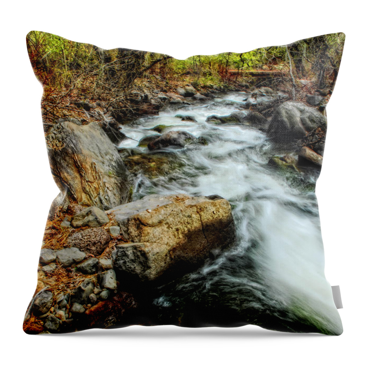 Creek Throw Pillow featuring the photograph Fast Forward by Donna Blackhall