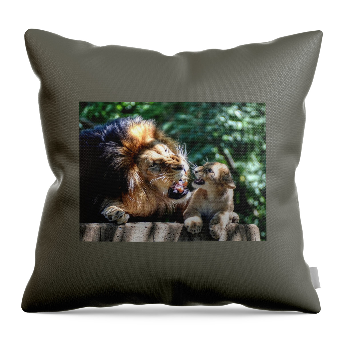 Male Lion And Cub Throw Pillow featuring the photograph Father teaching son by Ronda Ryan