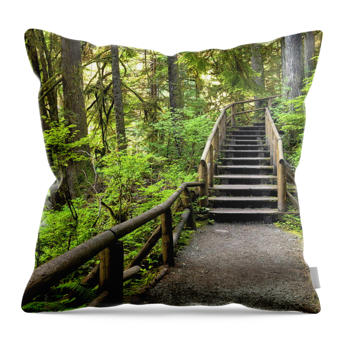 Alex Lyubar Throw Pillow featuring the pyrography Nice places for a walk in the morning time by Alex Lyubar