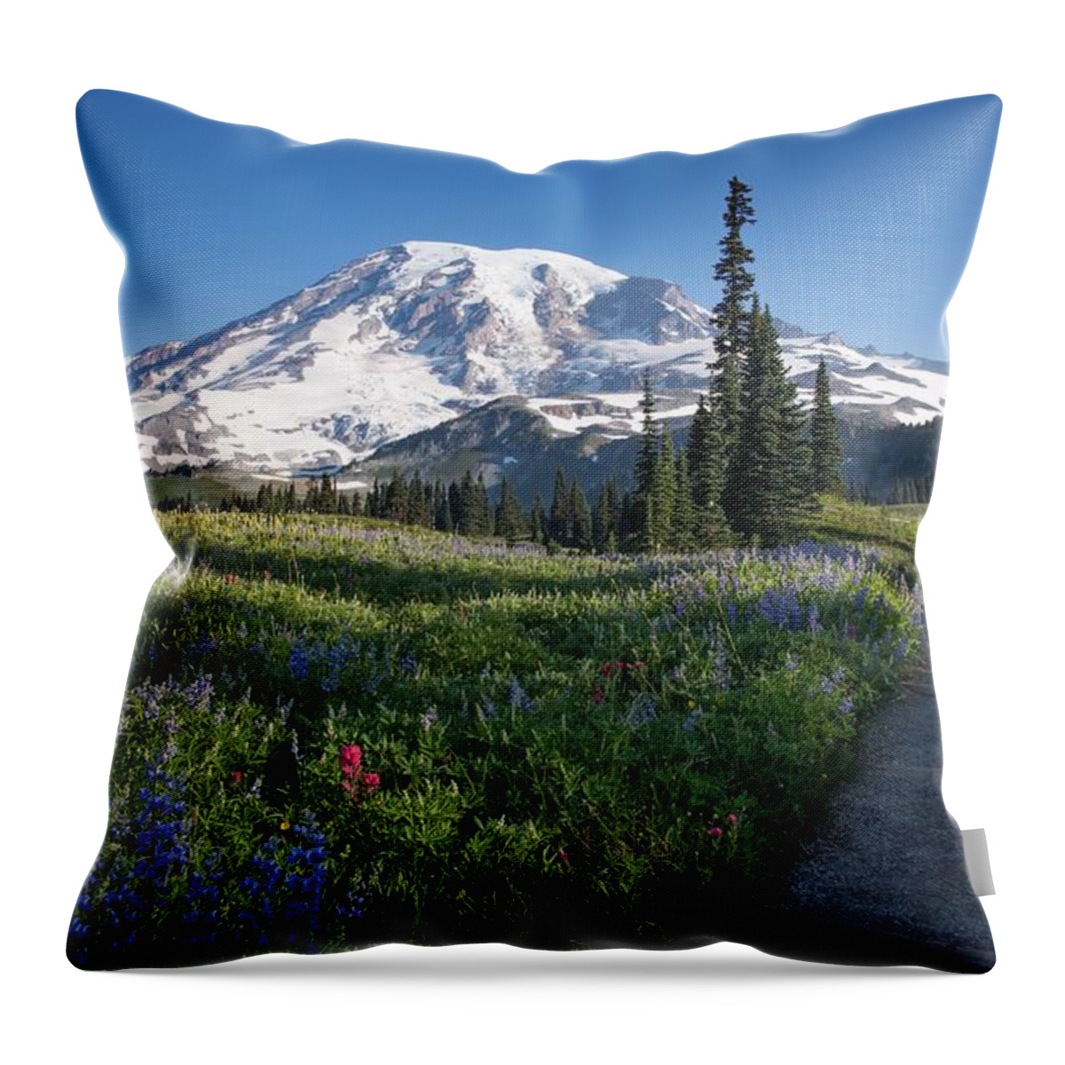 Favorite Time Of Year Throw Pillow featuring the photograph Favorite time of year by Lynn Hopwood