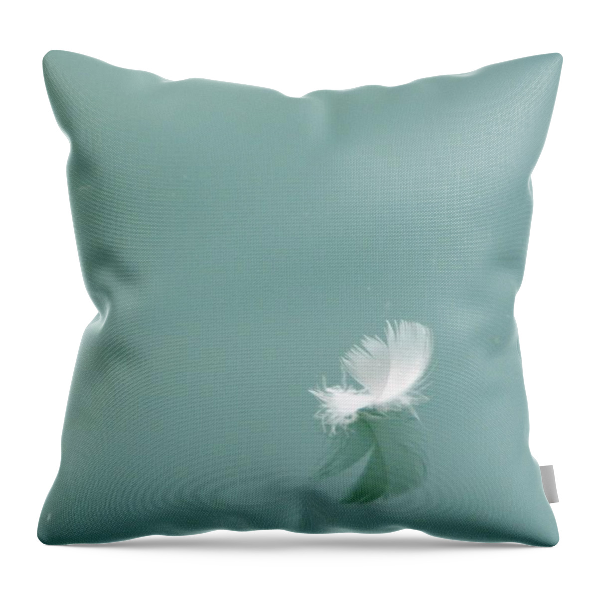 Nature Throw Pillow featuring the photograph Feather Afloat by Peggy King