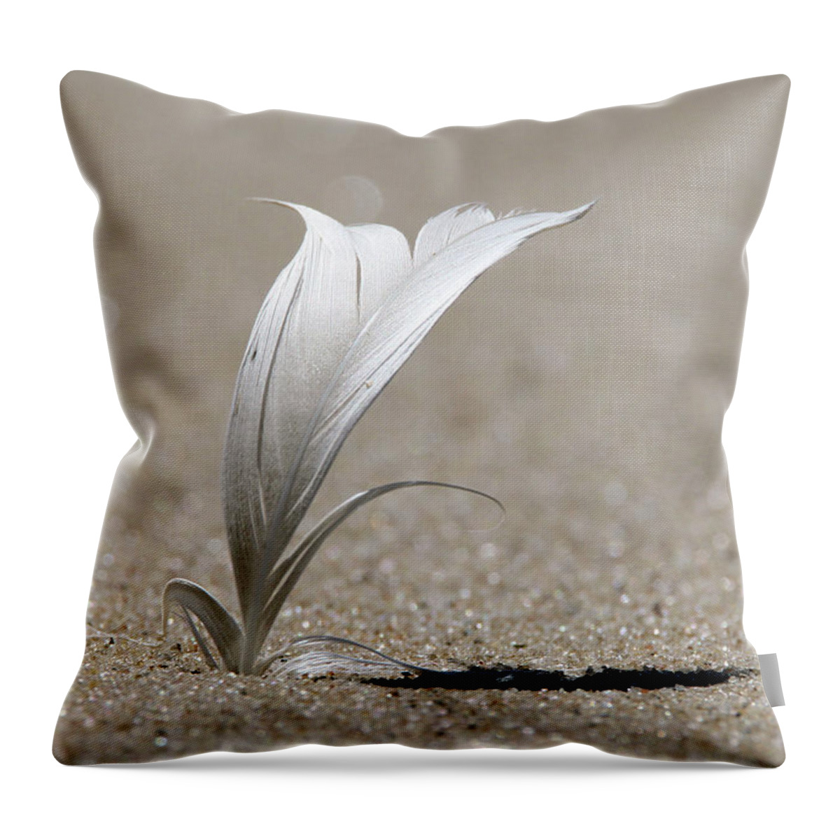 Feather Throw Pillow featuring the photograph Feather Port Jefferson New York by Bob Savage