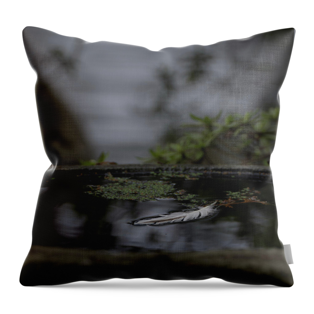Pond Throw Pillow featuring the photograph A Feeling of Floating Weightlessly by Marilyn Wilson