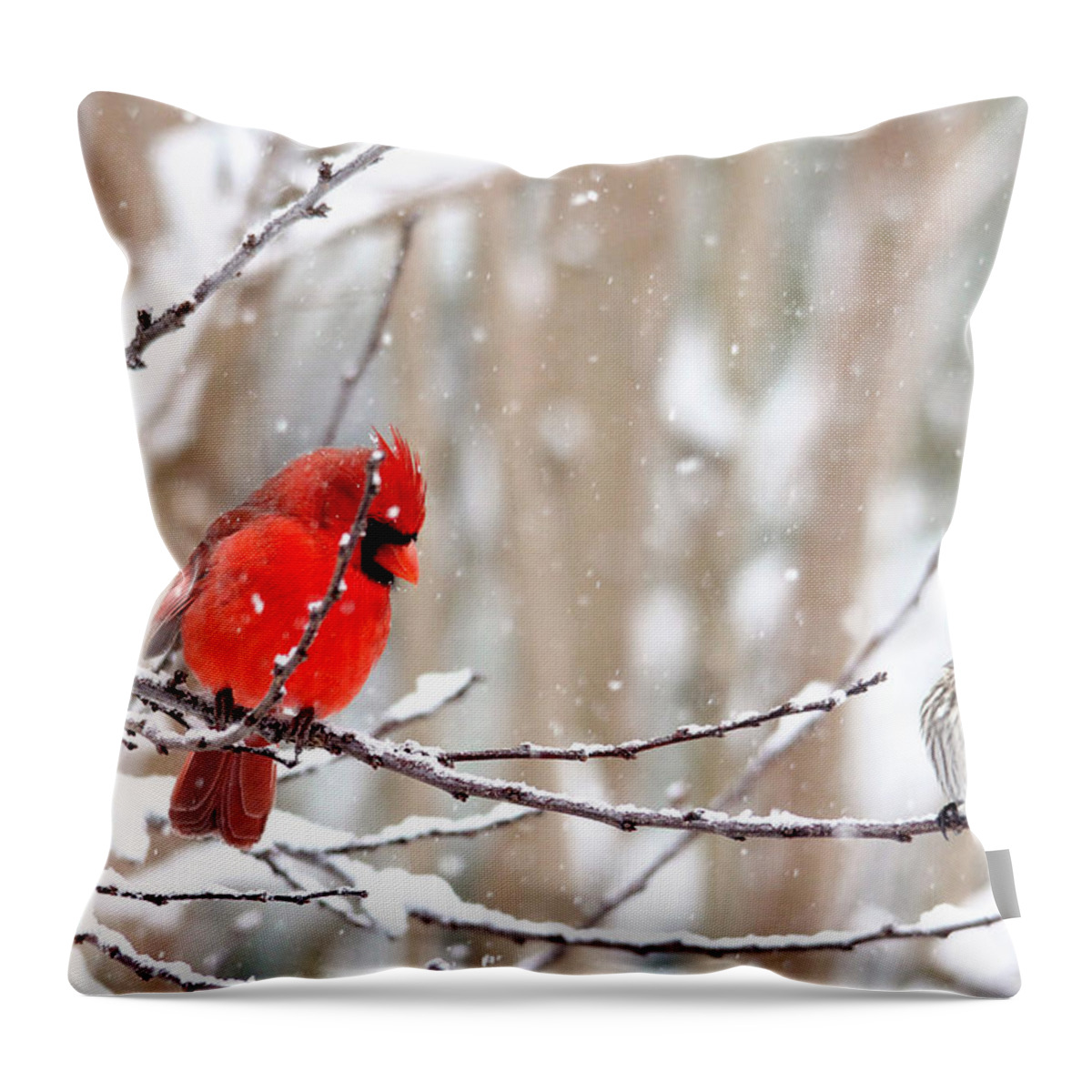 Birds Throw Pillow featuring the photograph Feathered Friends by Trina Ansel