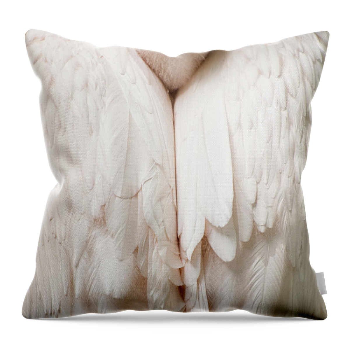 Eastern White Pelican Throw Pillow featuring the photograph Feathers by Kuni Photography