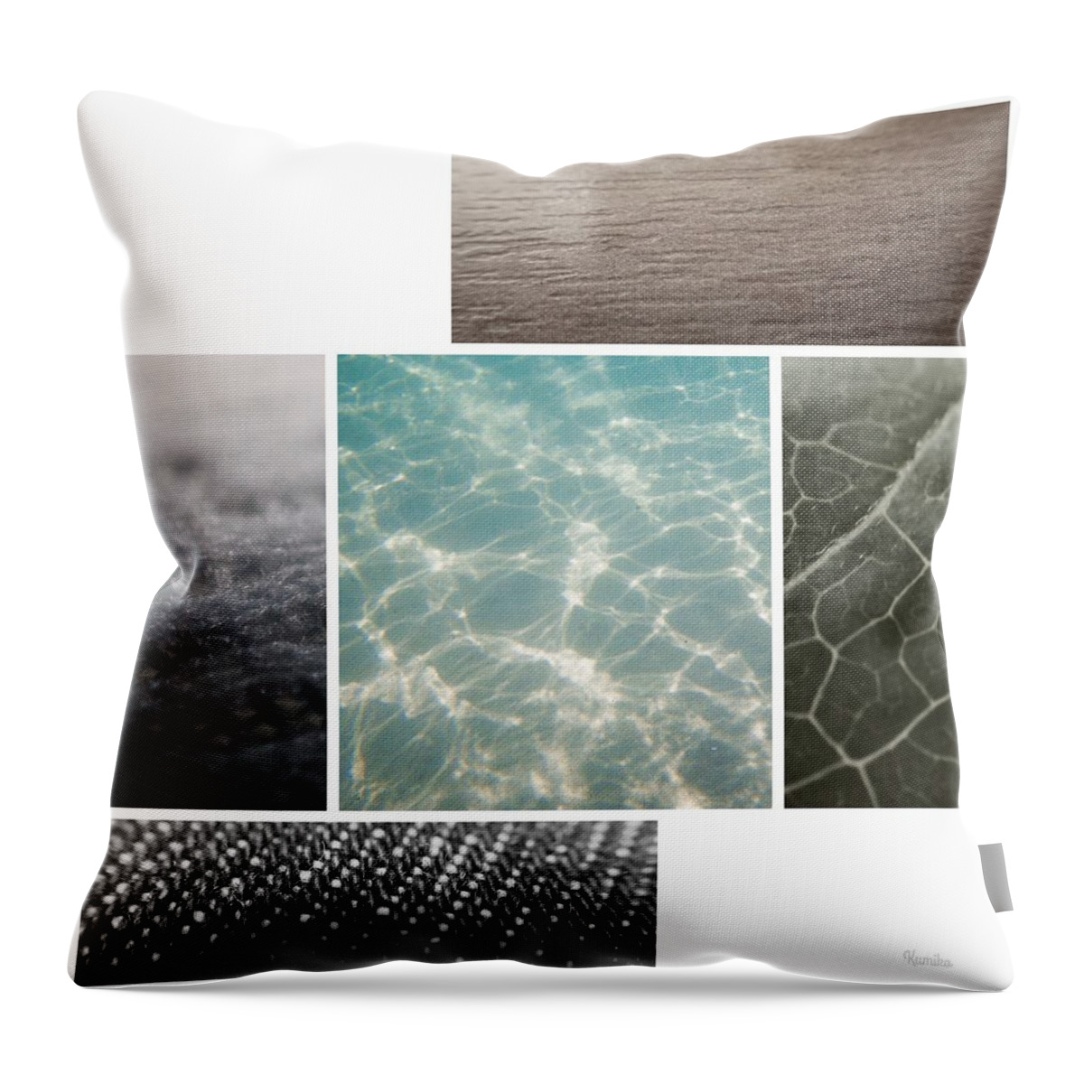 Art Photo Throw Pillow featuring the photograph Feature by Kumiko Izumi