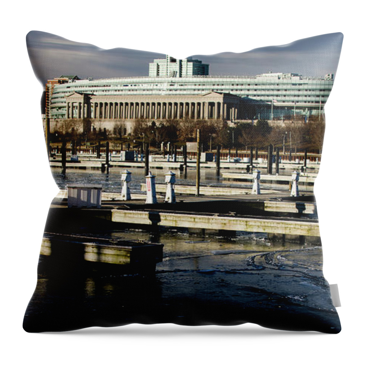 Winterpacht Throw Pillow featuring the photograph February in Chicago by Miguel Winterpacht