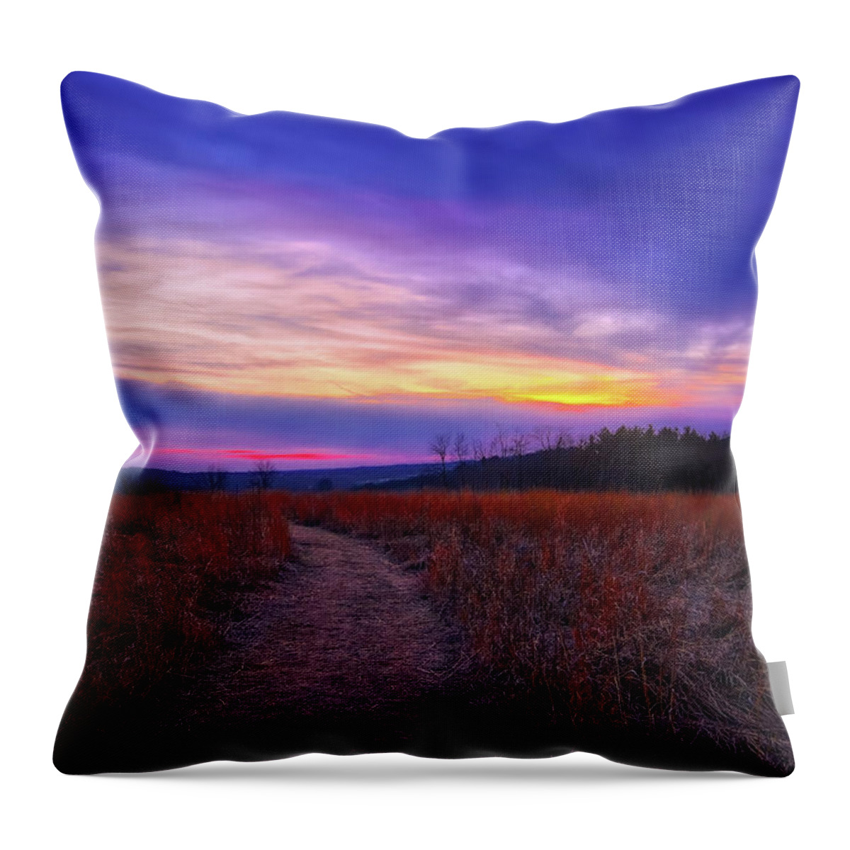 Wisconsin Landscape Throw Pillow featuring the photograph February Sunset and Path at Retzer Nature Center by Jennifer Rondinelli Reilly - Fine Art Photography