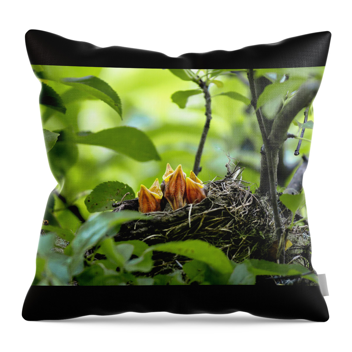 Three Hungry Nestlings Throw Pillow featuring the photograph Feed Me Times Three by Marty Saccone
