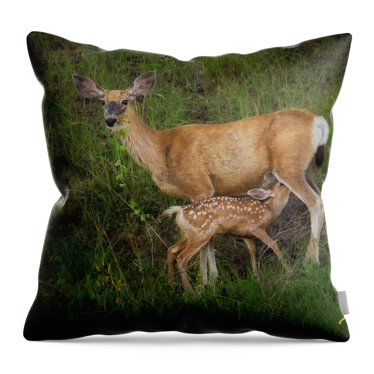 Animals Throw Pillow featuring the photograph Feeding Fawn by Rikk Flohr