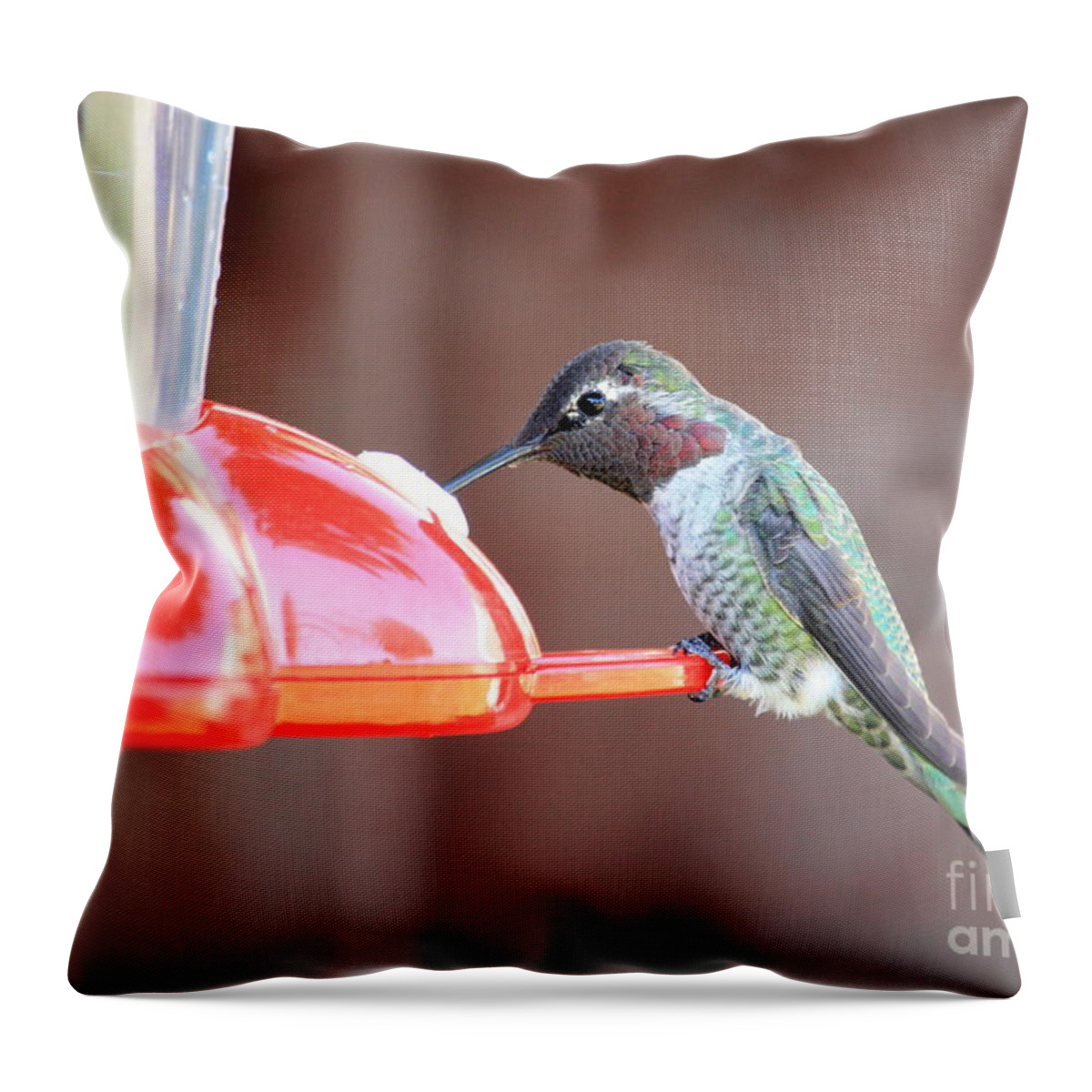 Hummingbird Throw Pillow featuring the photograph Feeding Hummingbird by Carol Groenen