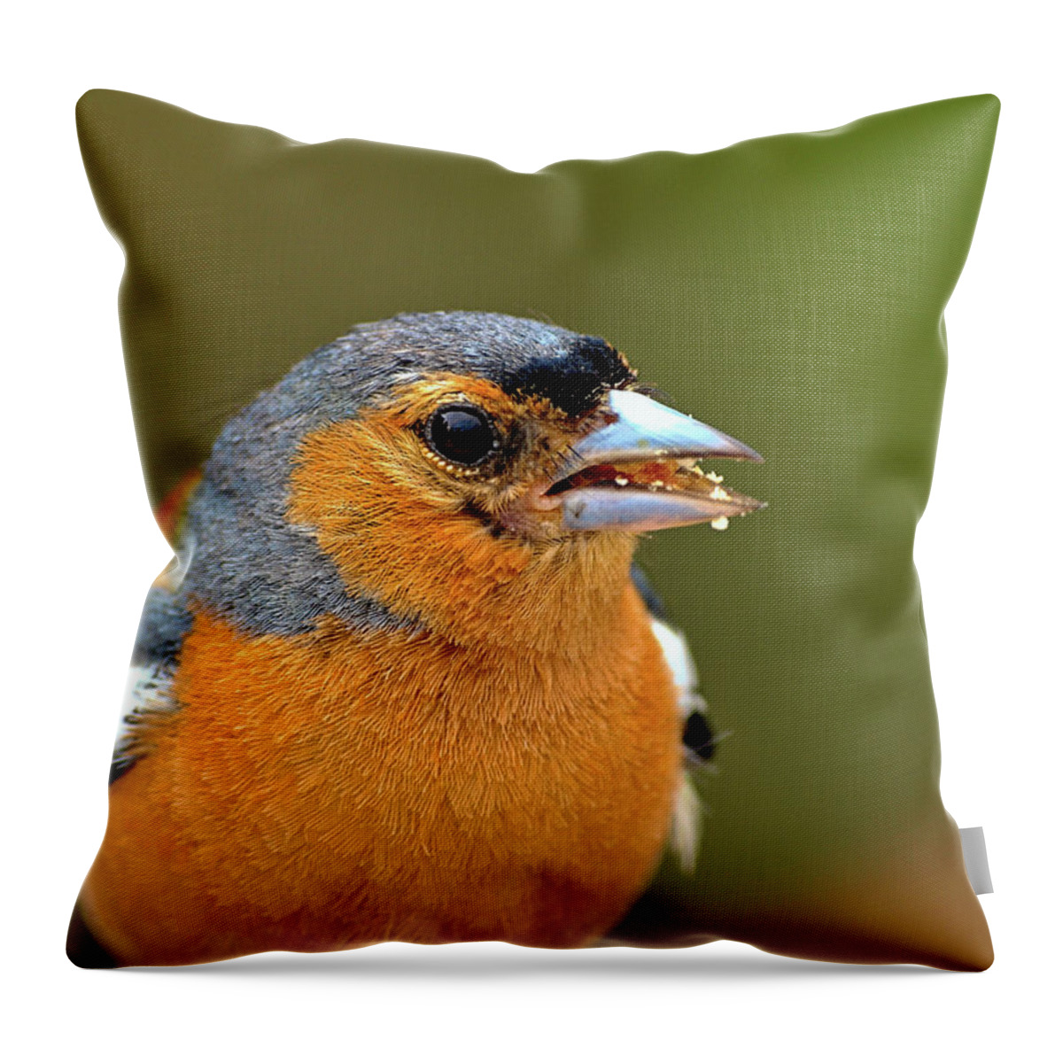 Birds Throw Pillow featuring the photograph Feeding Time by Richard Denyer