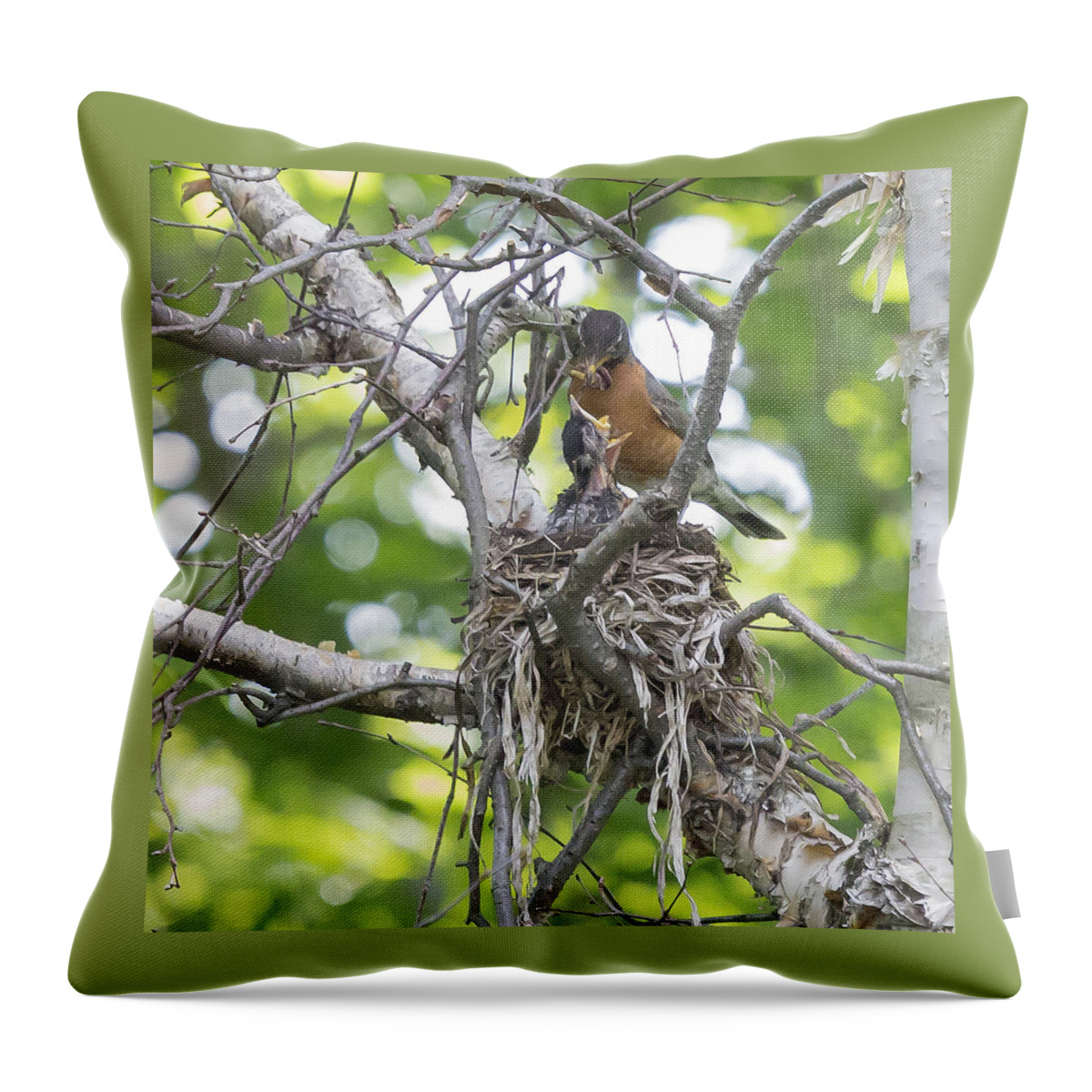 Bird Throw Pillow featuring the photograph Feeding time by Vance Bell
