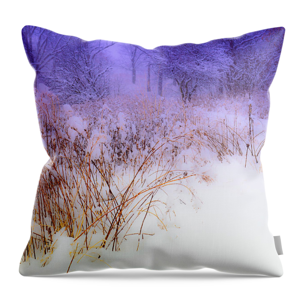 Winter Weeds Throw Pillow featuring the digital art Feel of Cold Land by Judith Barath
