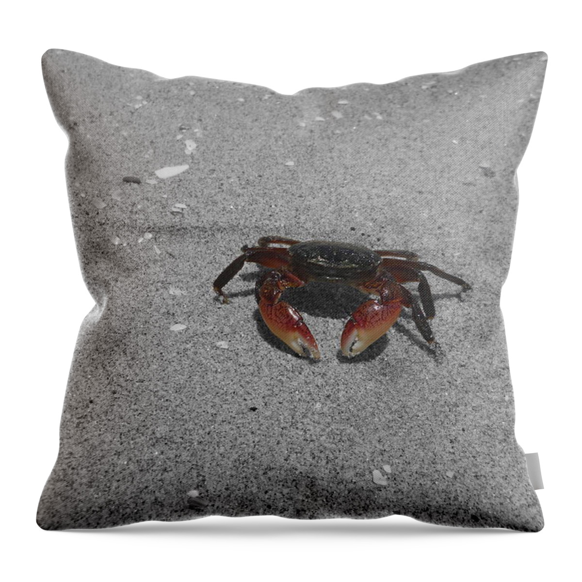 Digitally Enhanced Photograph Throw Pillow featuring the photograph Feeling Crabby by Colleen Cornelius