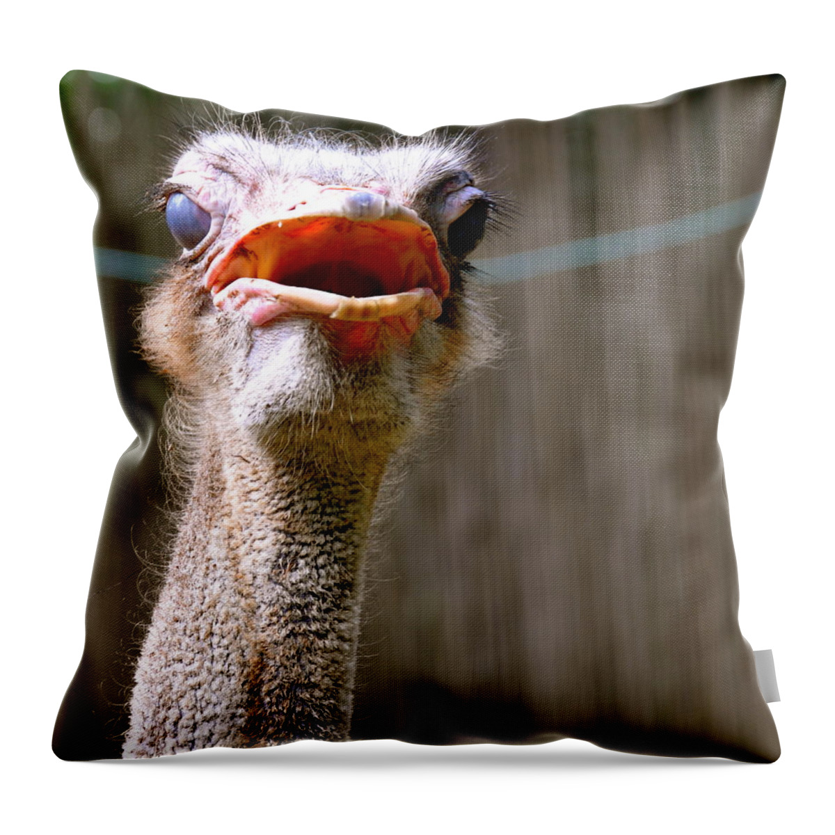Ostrich Throw Pillow featuring the photograph Feisty Ostrich by Caroline Reyes-Loughrey