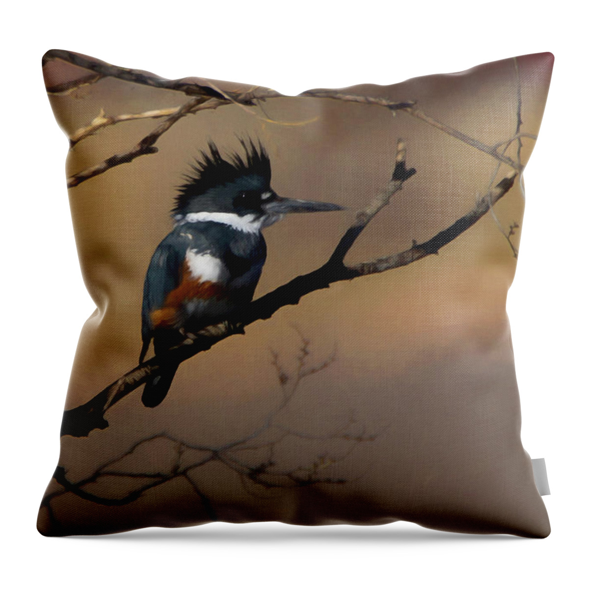 Belted Kingfisher Throw Pillow featuring the digital art Female Belted Kingfisher by Ernest Echols