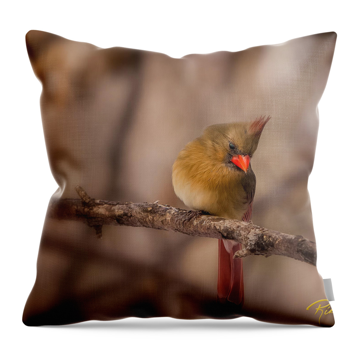 Animals Throw Pillow featuring the photograph Female Cardinal by Rikk Flohr