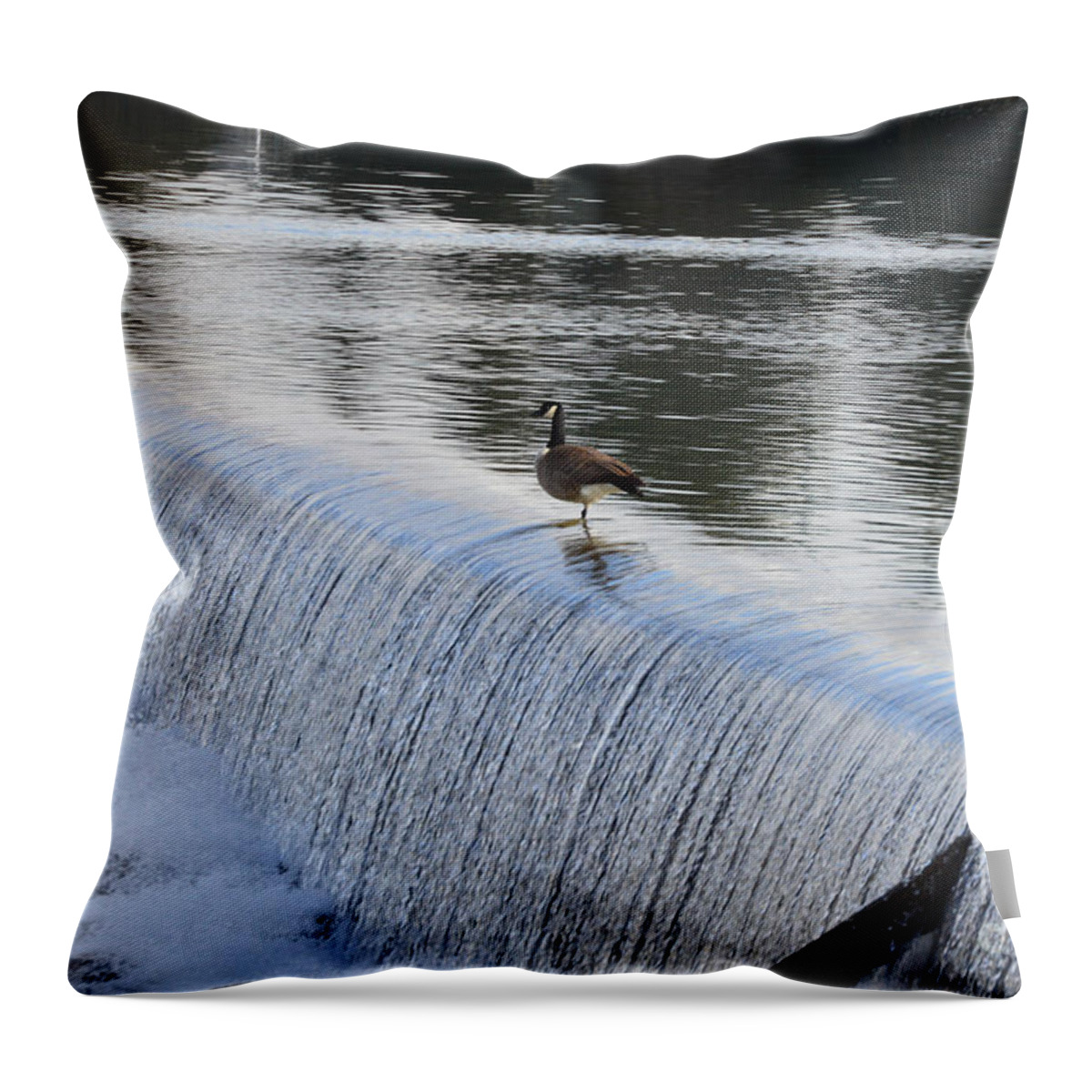 Geese Throw Pillow featuring the photograph Female Geese 02 by Kip Vidrine