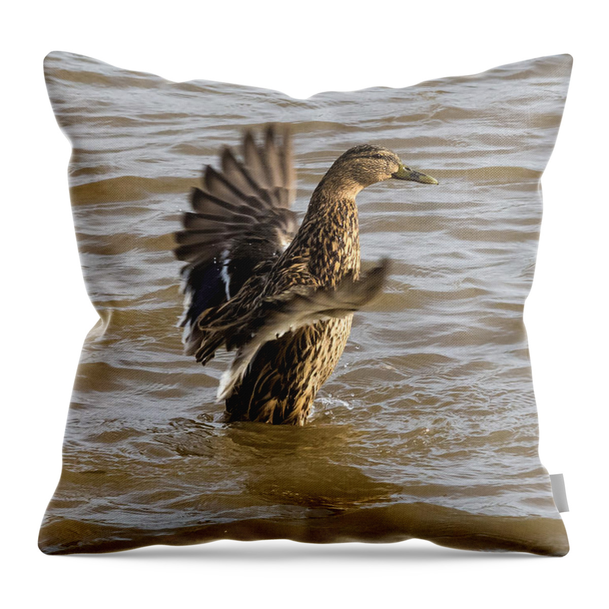 Jan Holden Throw Pillow featuring the photograph Female Mallard by Holden The Moment