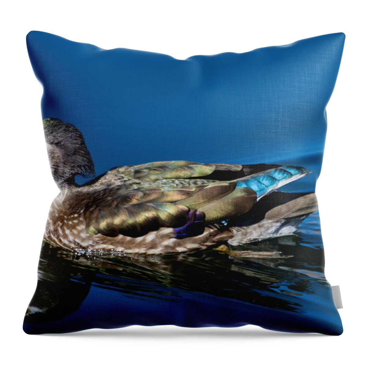 Wood Duck Throw Pillow featuring the photograph Female Wood Duck by Mindy Musick King