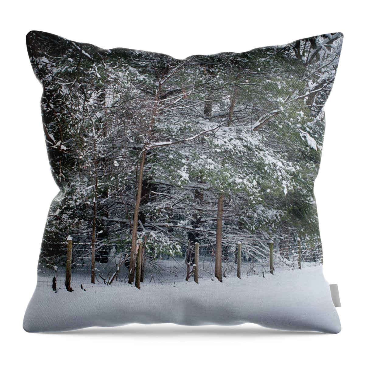 2018 Throw Pillow featuring the photograph Snow Day 3, Fieldwork, Hunter Hill, Hagerstown, Maryla by James Oppenheim
