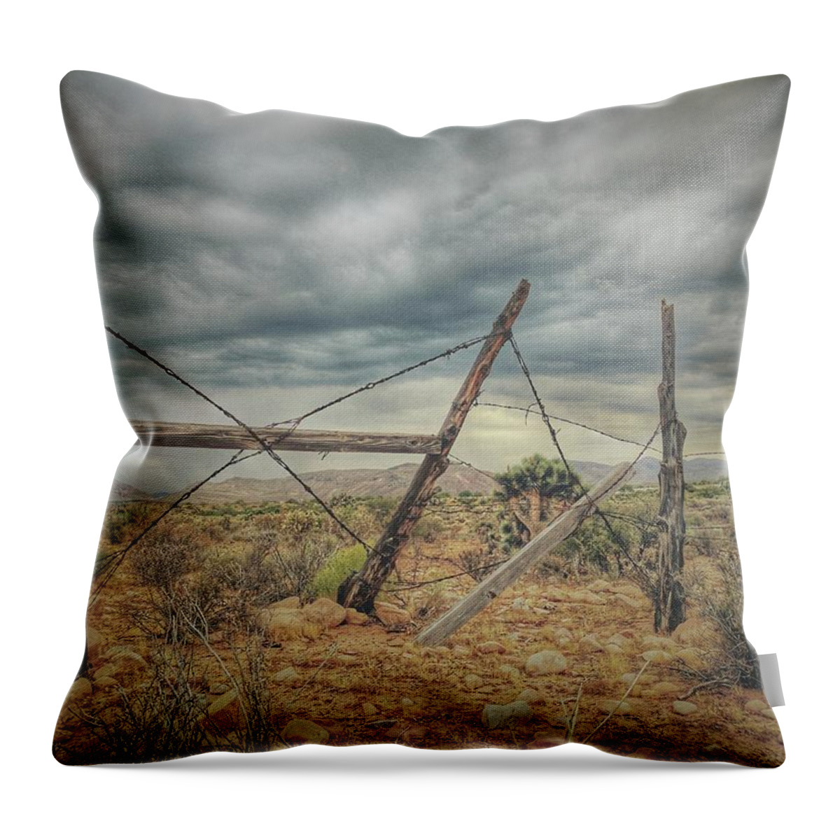 Fence Throw Pillow featuring the photograph Fence Post Blues by Mark Ross