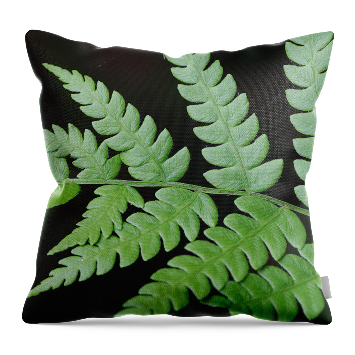 Nature Throw Pillow featuring the photograph Fern Frond Tip by William Selander