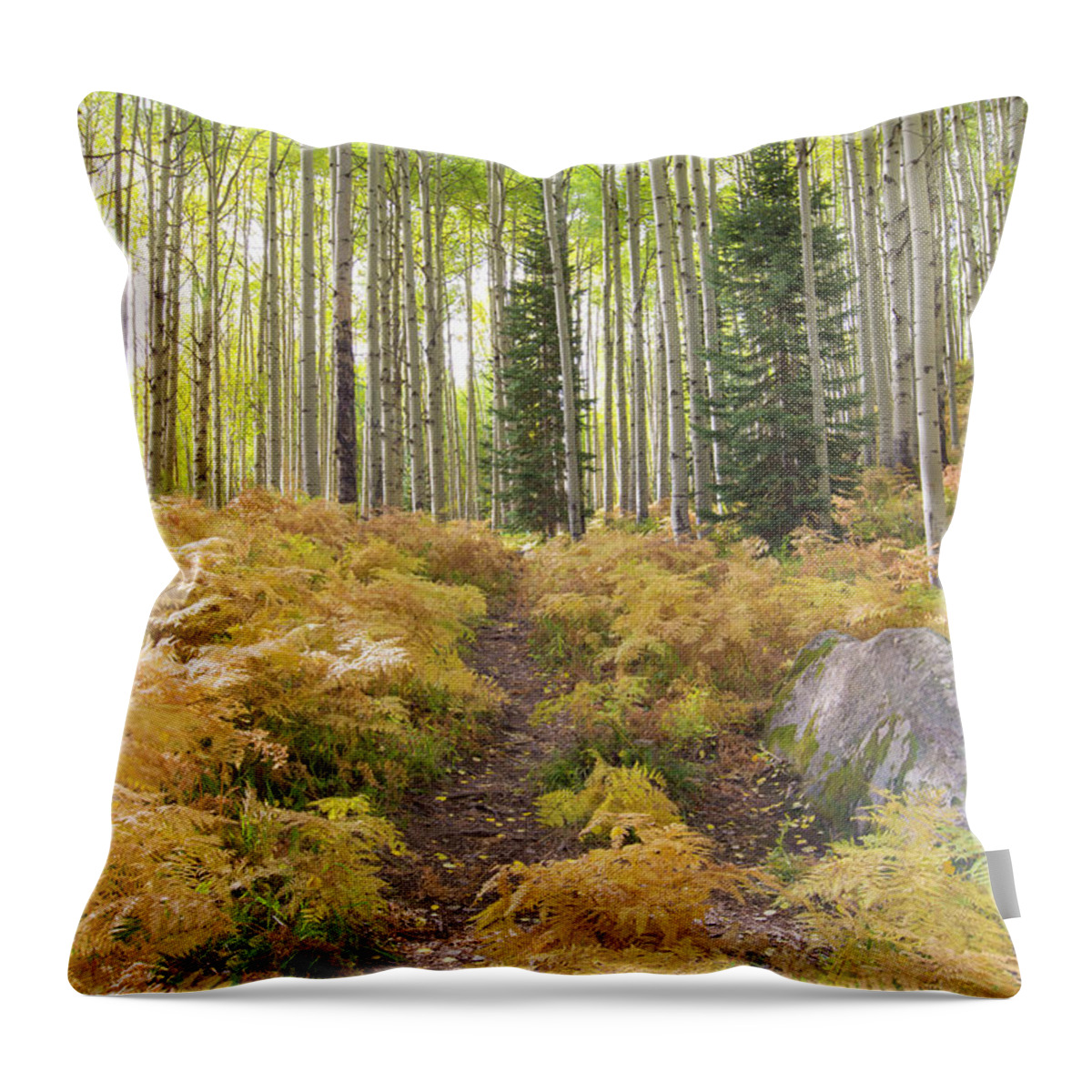 Ferns Throw Pillow featuring the photograph Fern Path by Nancy Dunivin