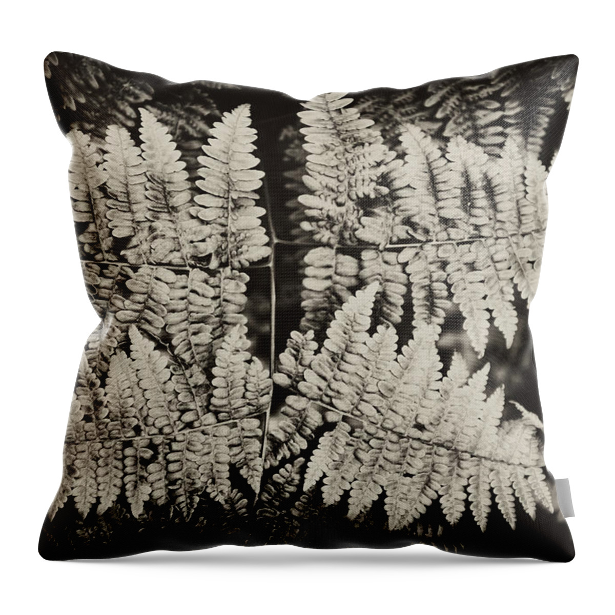 Fern Throw Pillow featuring the photograph Ferns by Hugh Smith