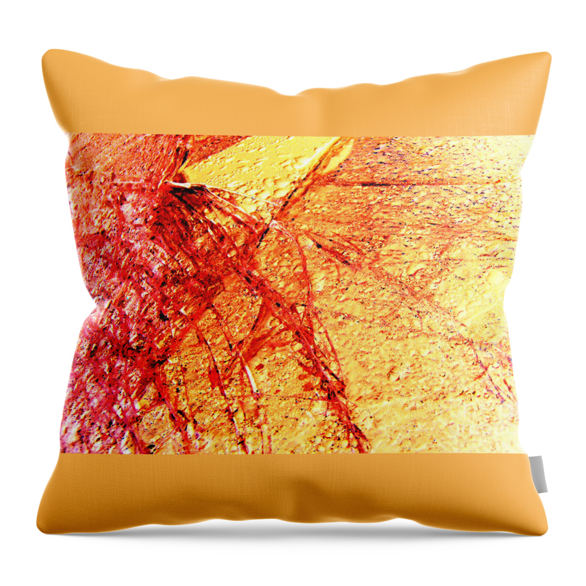 Light Throw Pillow featuring the photograph Festival of Light by Kristine Nora
