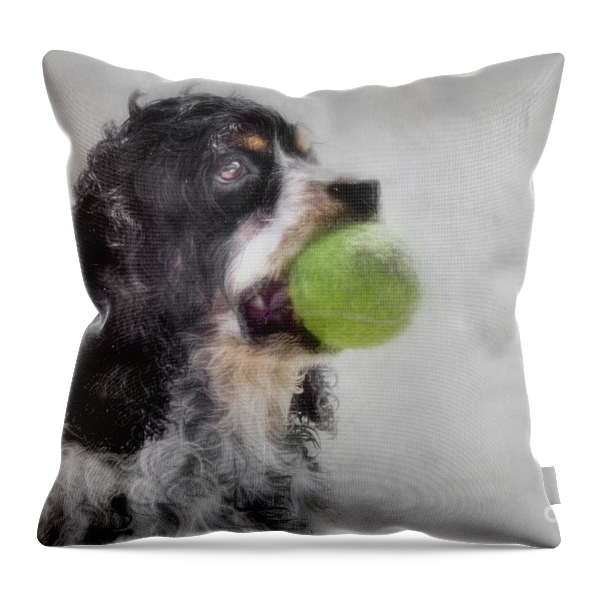 Cocker Spaniel Throw Pillow featuring the photograph Fetching Cocker Spaniel by Benanne Stiens