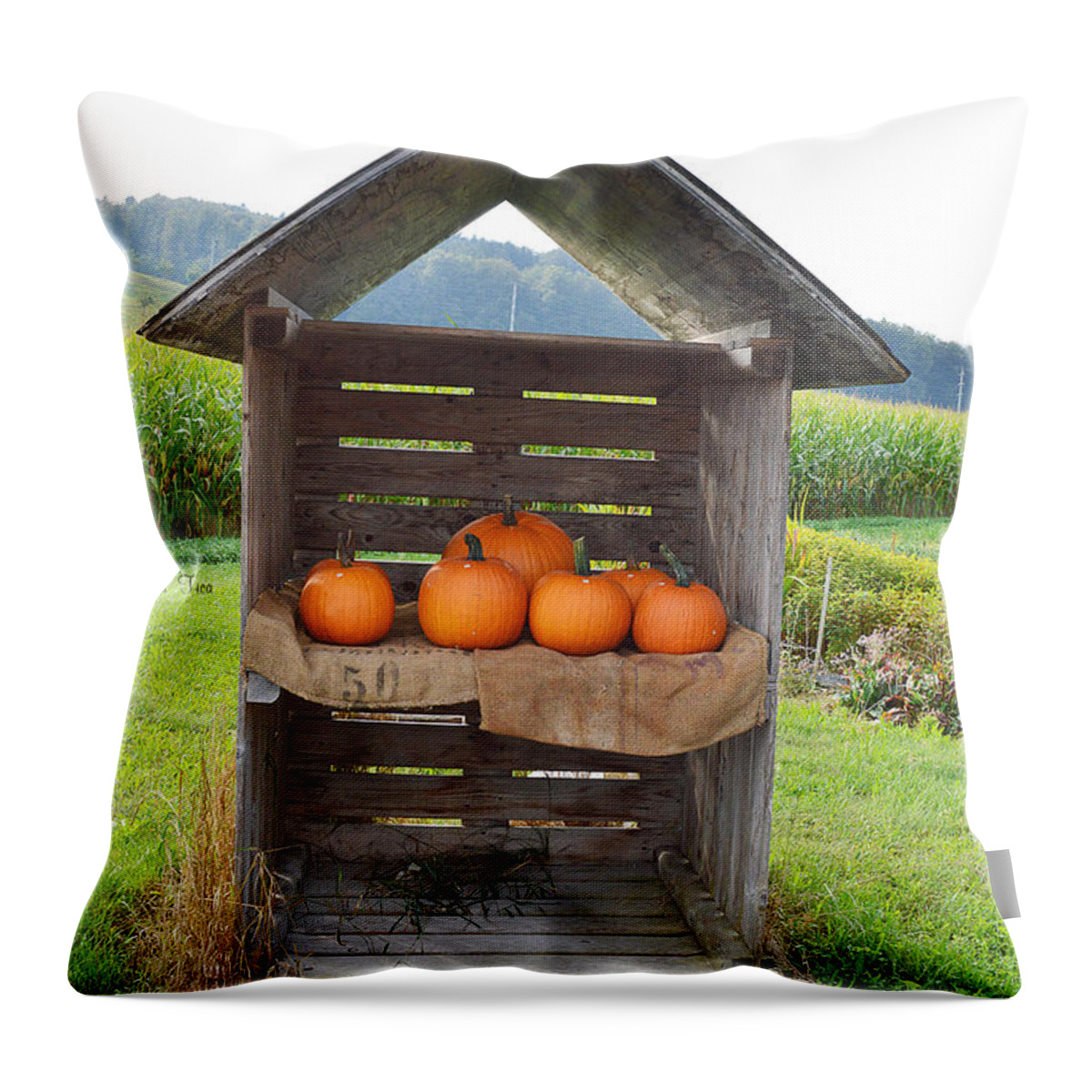 Seasonal Throw Pillow featuring the photograph Field Market by Felicia Tica